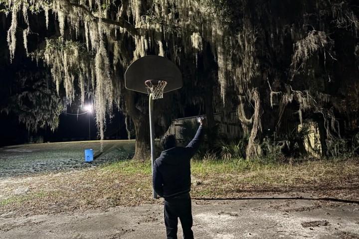 a man standing next to a tree