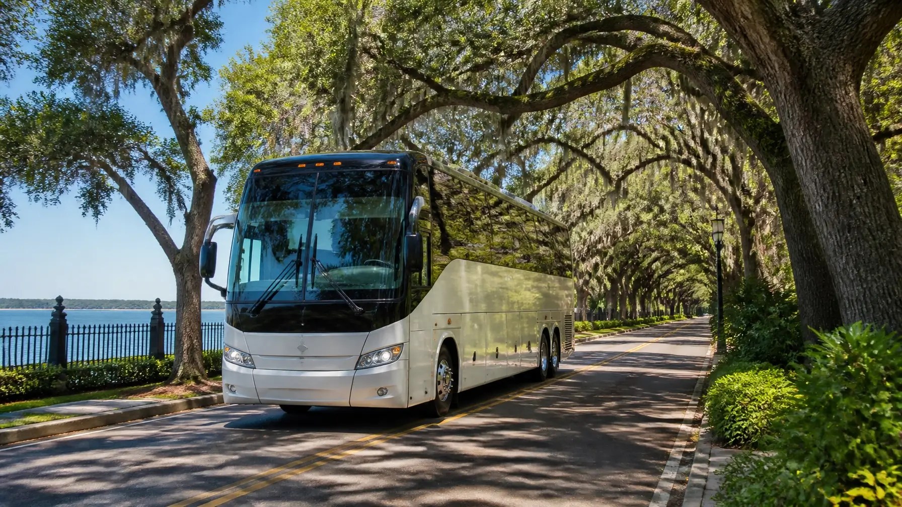 A white tour bus drives on a tree-lined road by a waterfront on a sunny day.